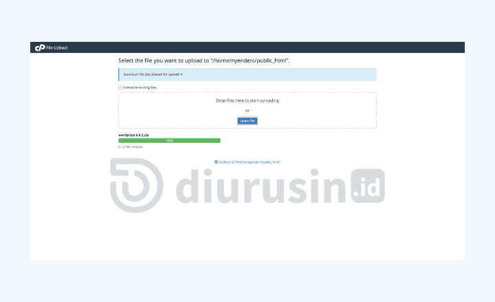 upload file WordPress